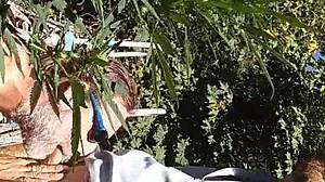 Gay underwear party with hot blowjobs and anal sex