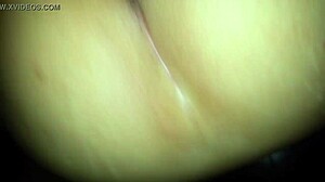 Close up of a yellow pussy gripping a dick in public